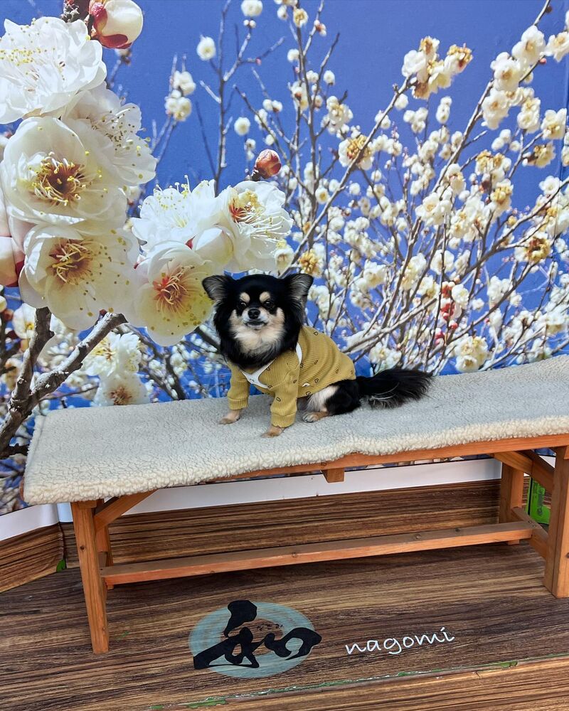 画像6654