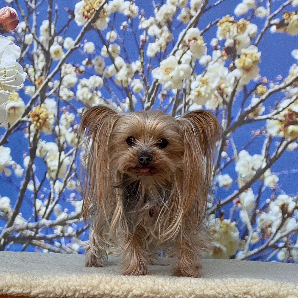 画像6681