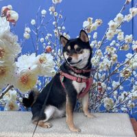 画像6856