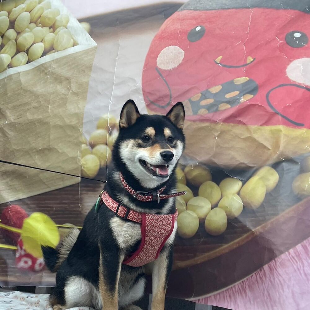 画像6860
