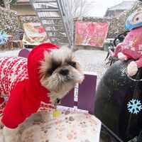 画像6867