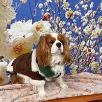 画像6875