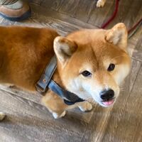 画像6910
