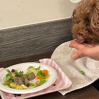 画像6991