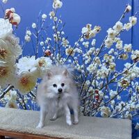 画像7004