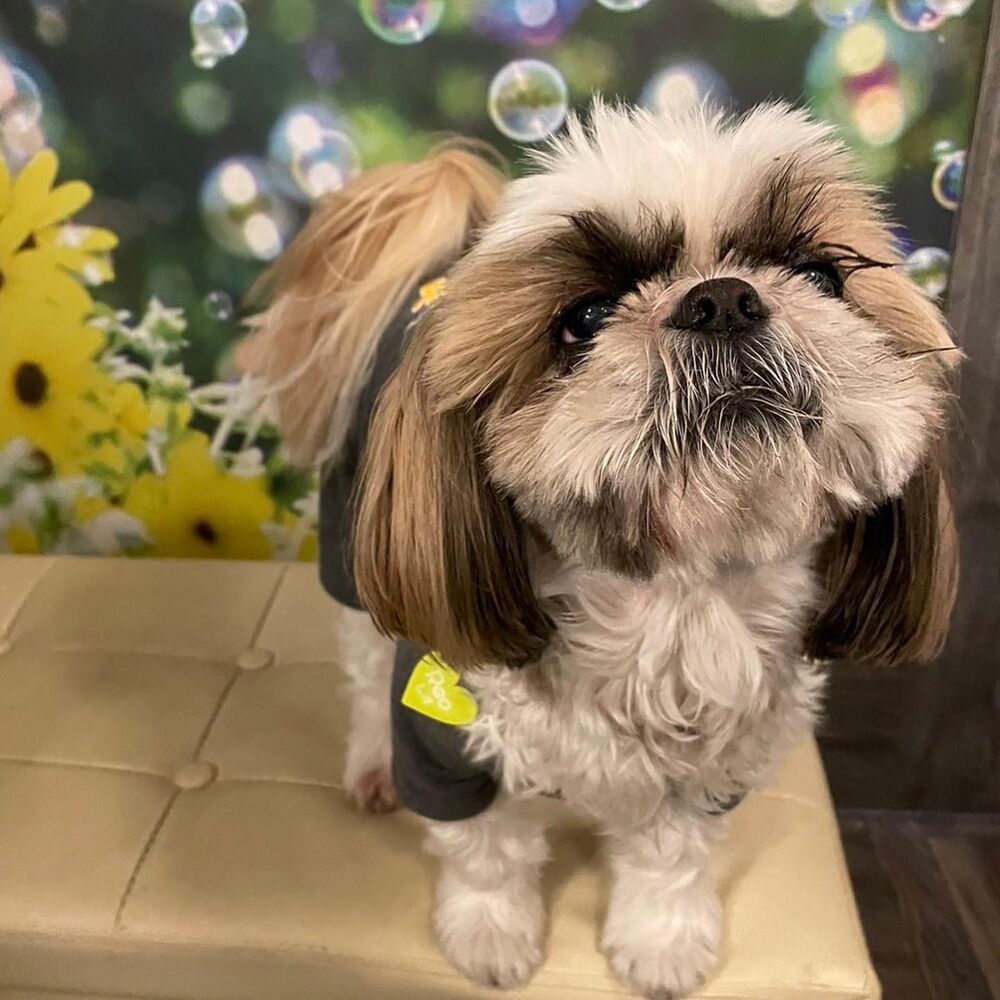 画像7208