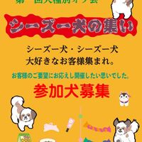 画像7216