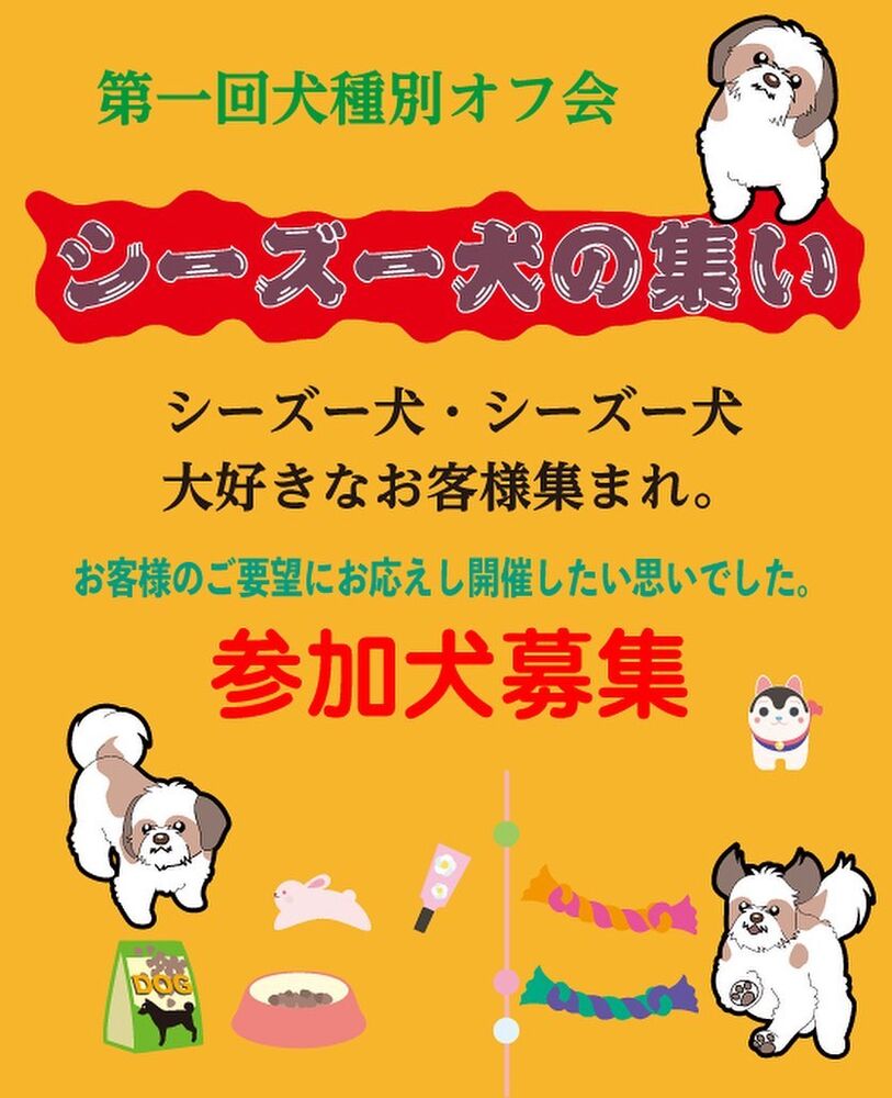 画像7216