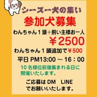 画像7217