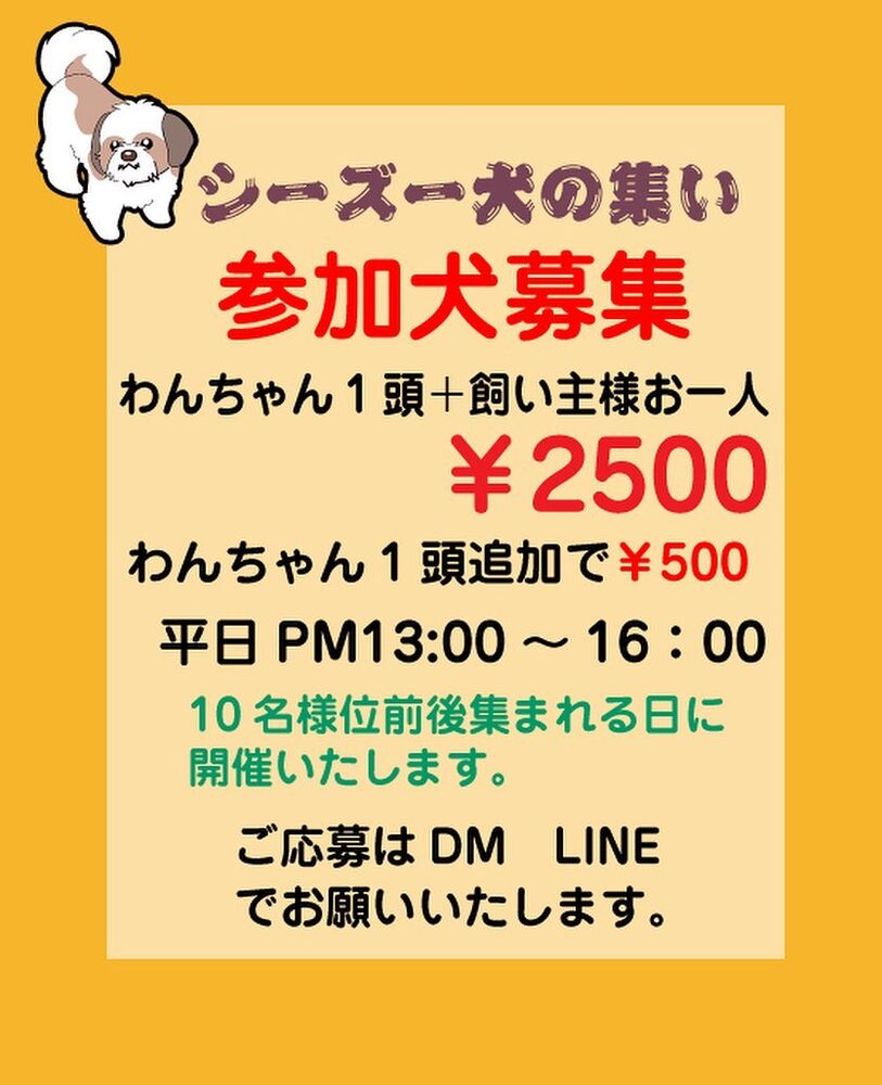 画像7217