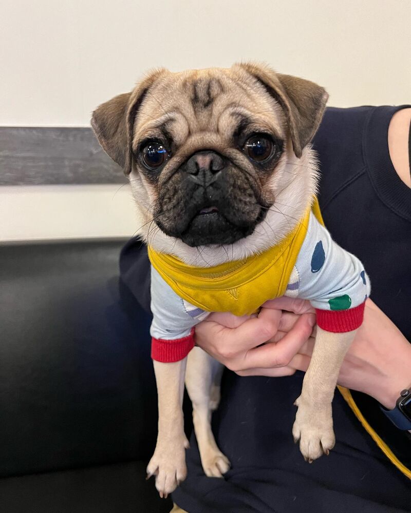 画像7239