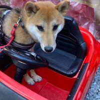 画像7288