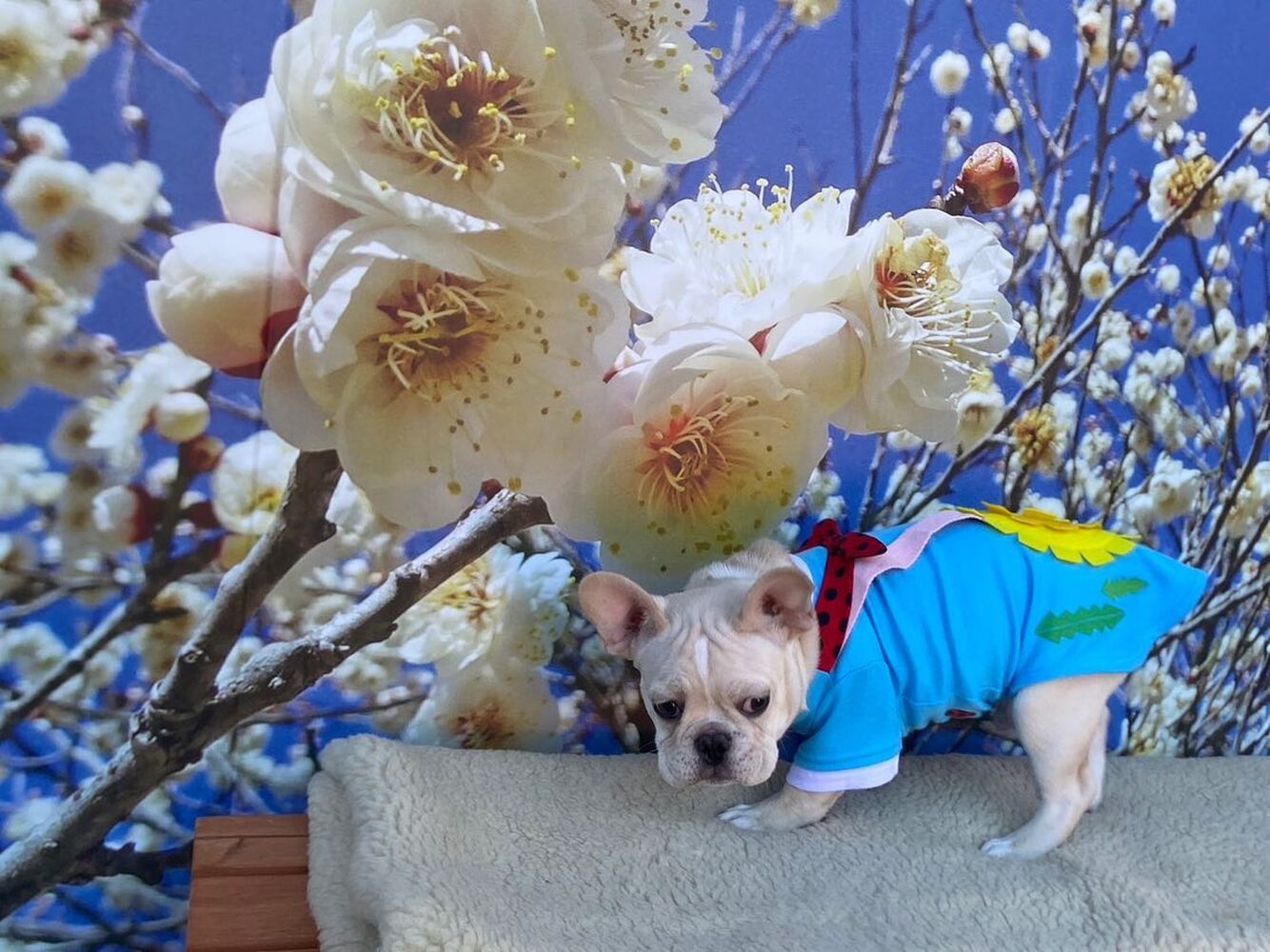 画像7298