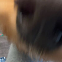 画像7433