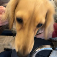 画像7486