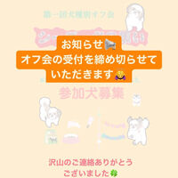 画像7496