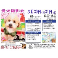 画像7499