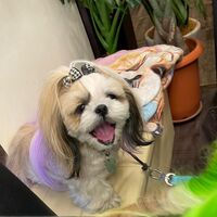 画像7547