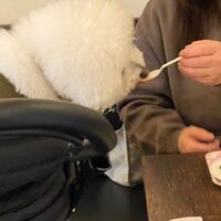画像7572
