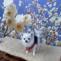 画像7574