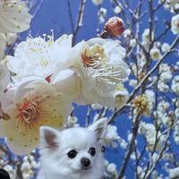 画像7575