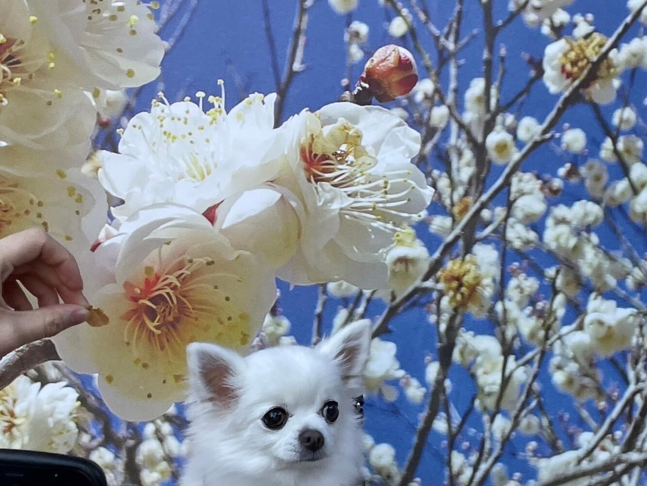 画像7575