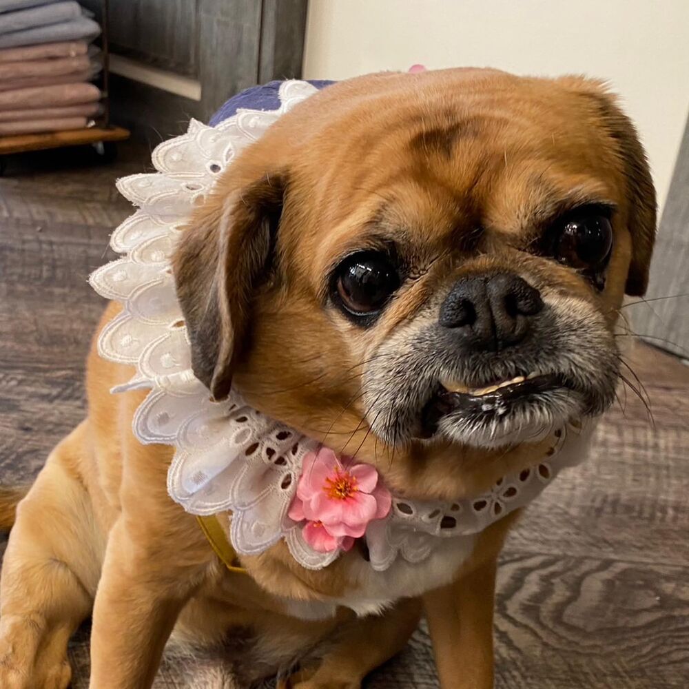 画像7613