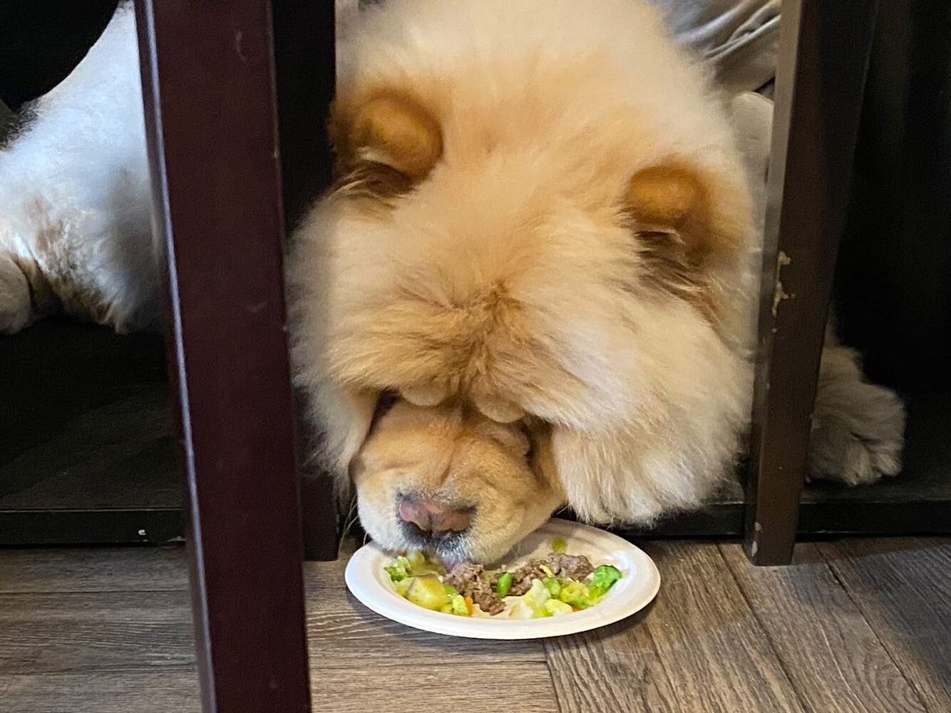 画像7660