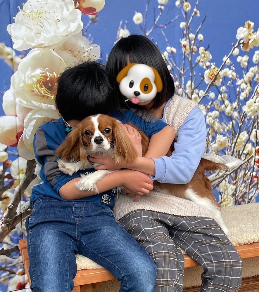 画像7699