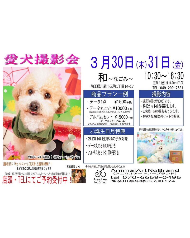 画像7861