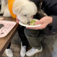 画像7993