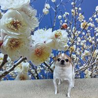 画像8067
