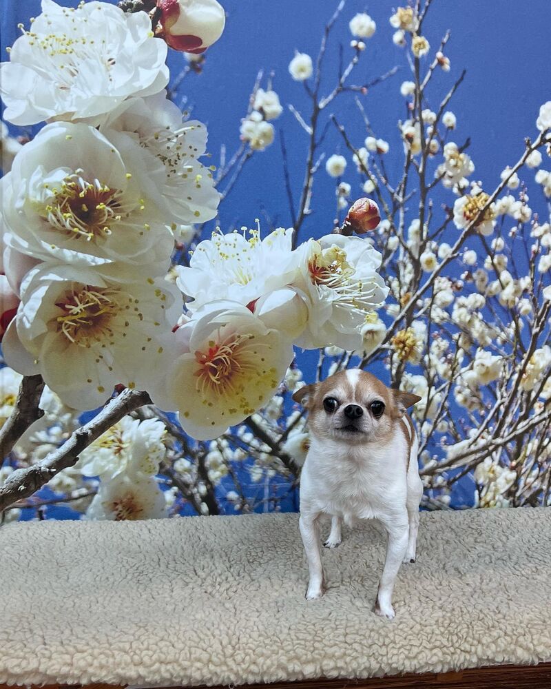 画像8067