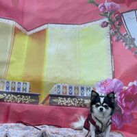 画像8113
