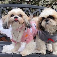 画像8315