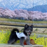 画像8545