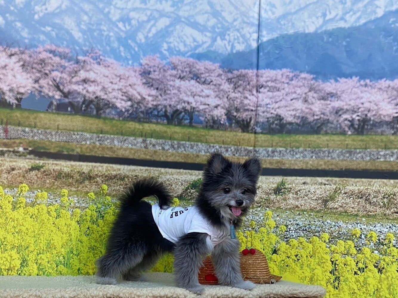 画像8545