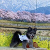 画像8546