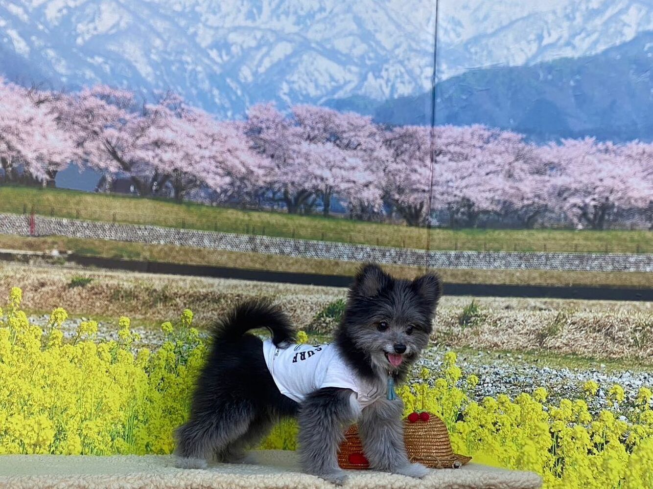 画像8546