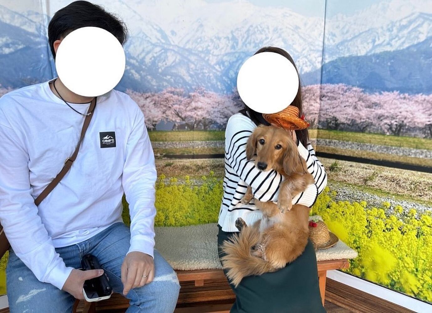 画像8564