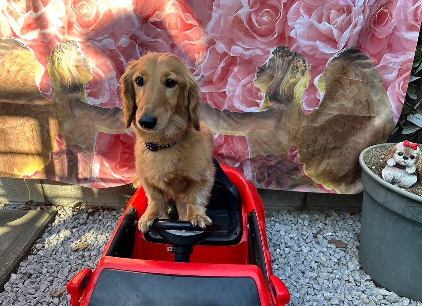 画像8566
