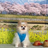 画像8571
