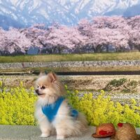 画像8575