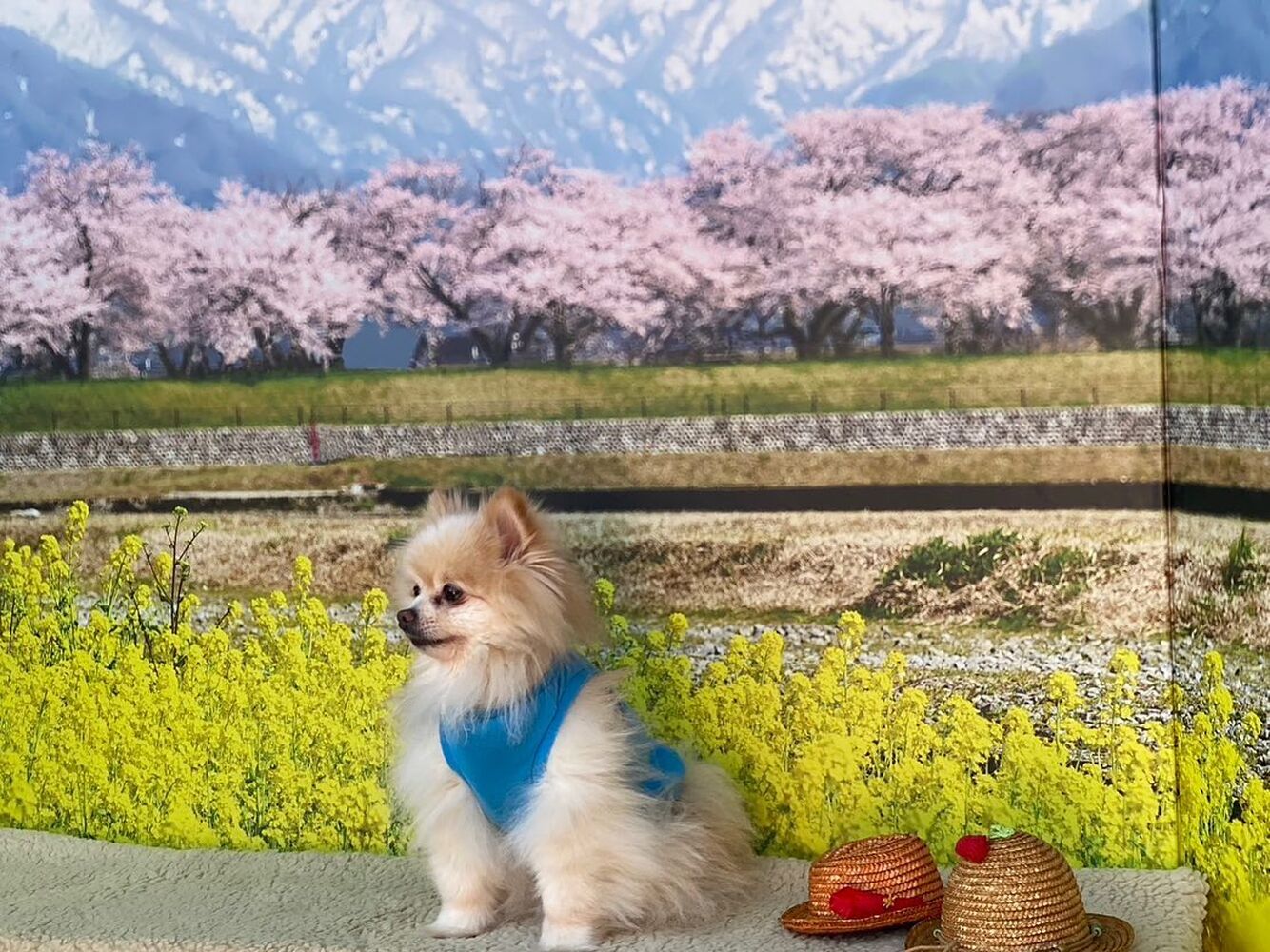 画像8575