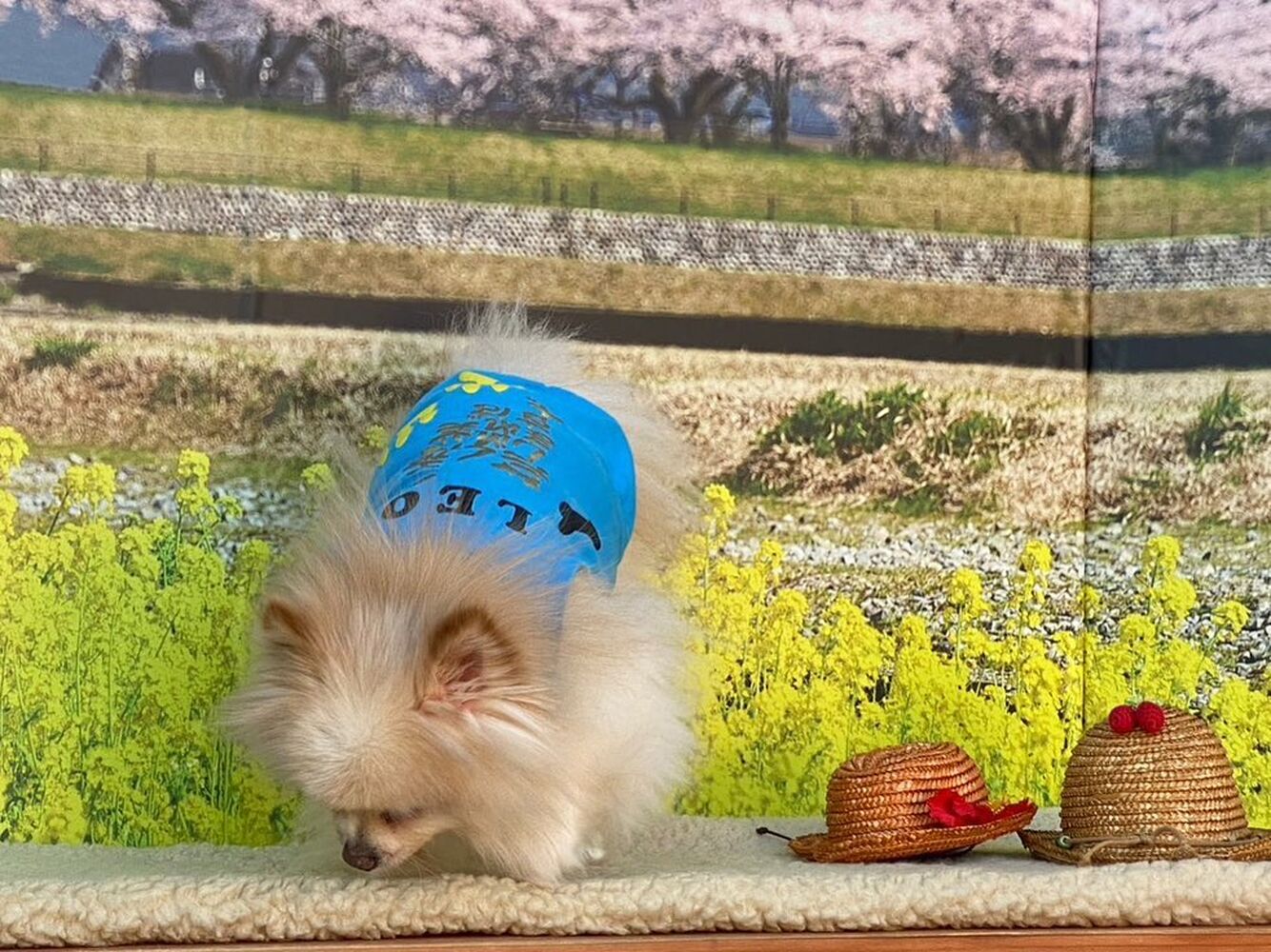 画像8576