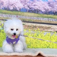 画像8582