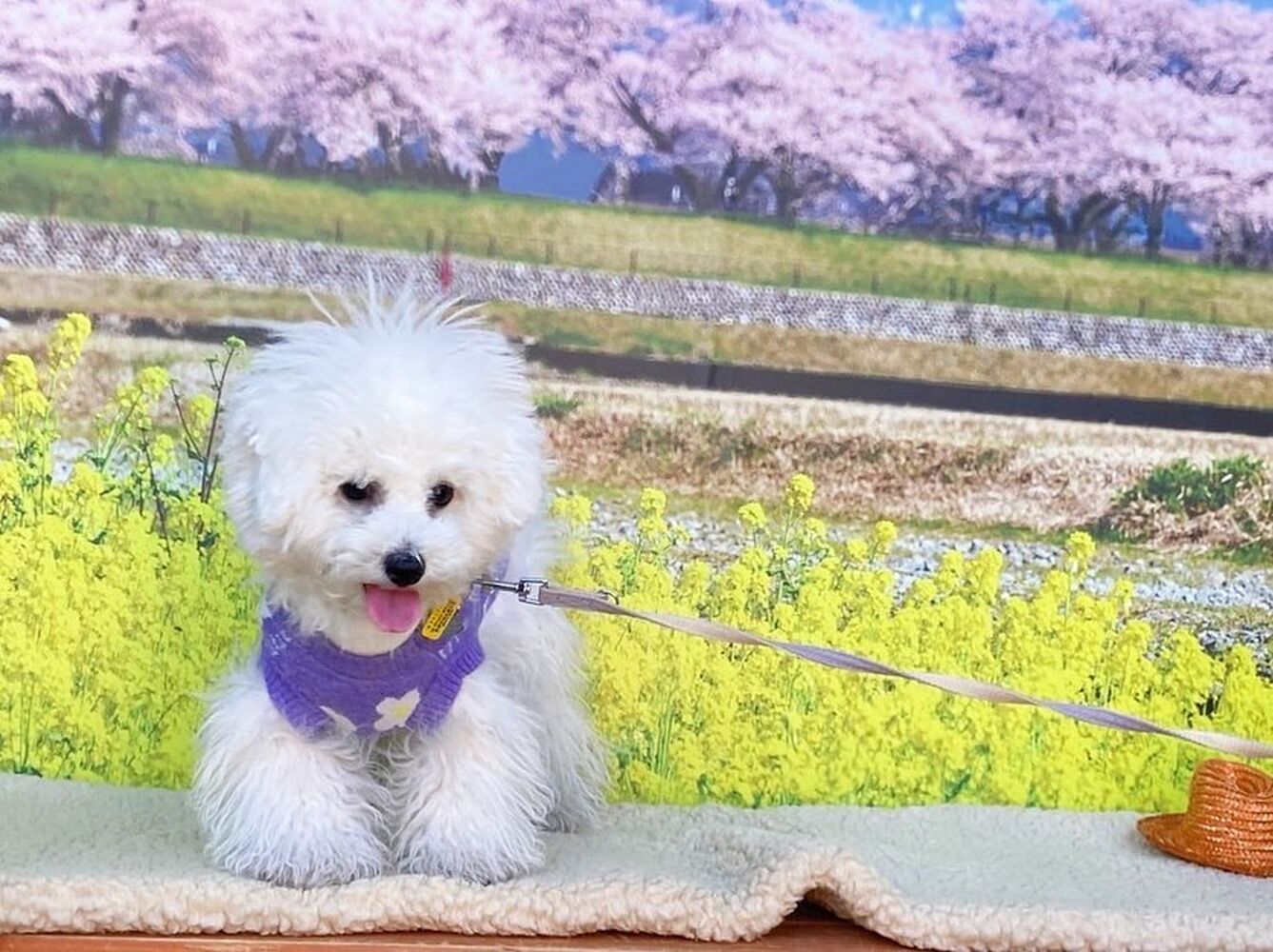 画像8582