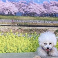画像8583