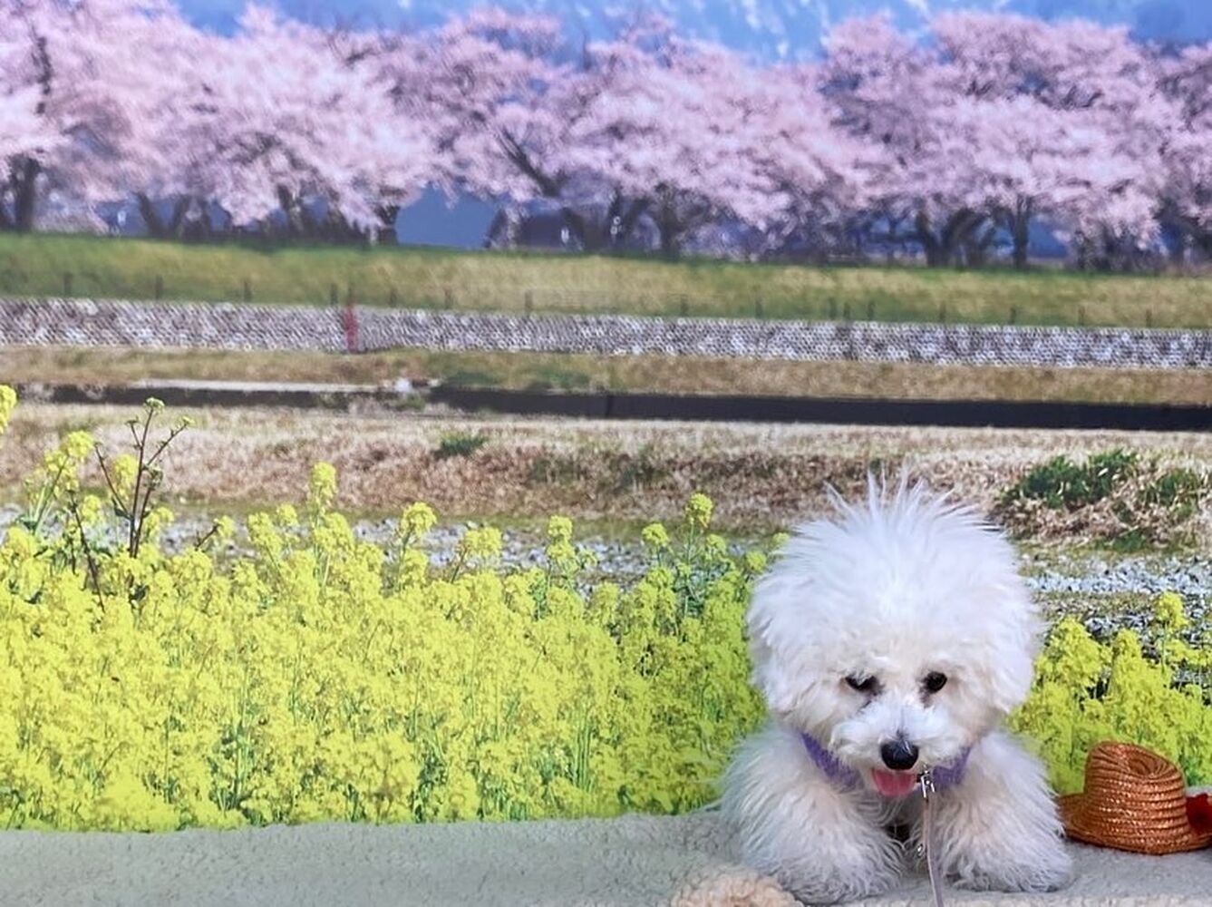 画像8583