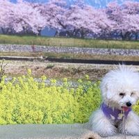 画像8584